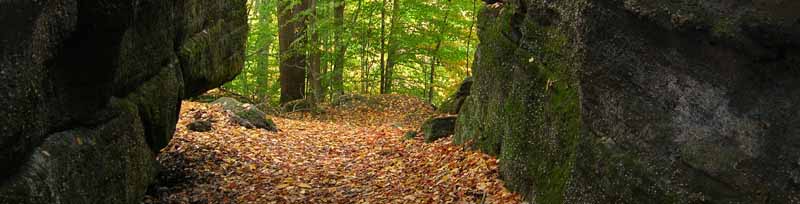 Nelsons Ledges